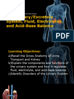 Urinary System Fluid Electrolytes and Acid Base Balance Final Presentation