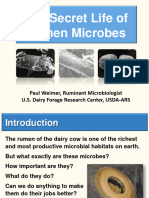 6 Weimer Rumen Microbes