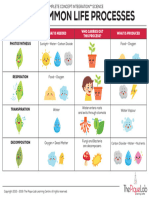 The Pique Lab CCI 4 Common Life Processes