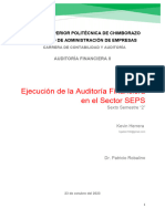 Ejecución de La Auditoria Financiera en El Sector SEPS