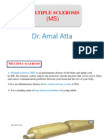 MS PDF