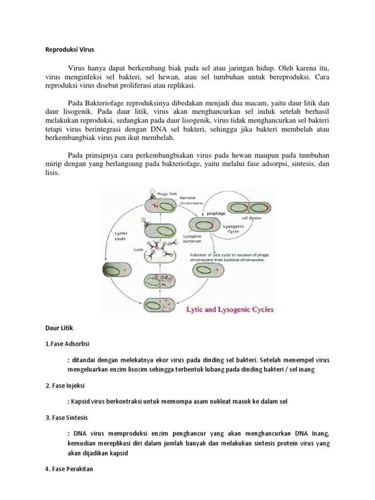 Reproduksi Virus Makalah