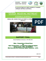 Doc-6-Global Rejefac Retreat Report 2013