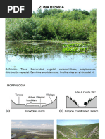 Definición y Recomendaciones de Zonas Ribereñas | PDF | Zona ribereña ...