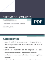 Plan de Negocios Lombriabonos Diciembre 2010