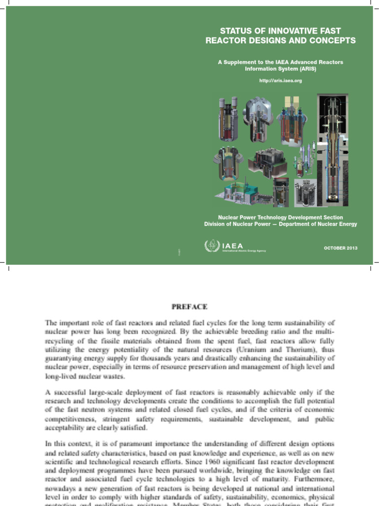Status of Innovative Fast Reactor designs and concepts | PDF | Nuclear ...