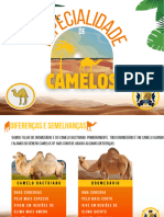 Especialidade de Camelos - Desbravadores