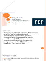 4. Tissue Repair