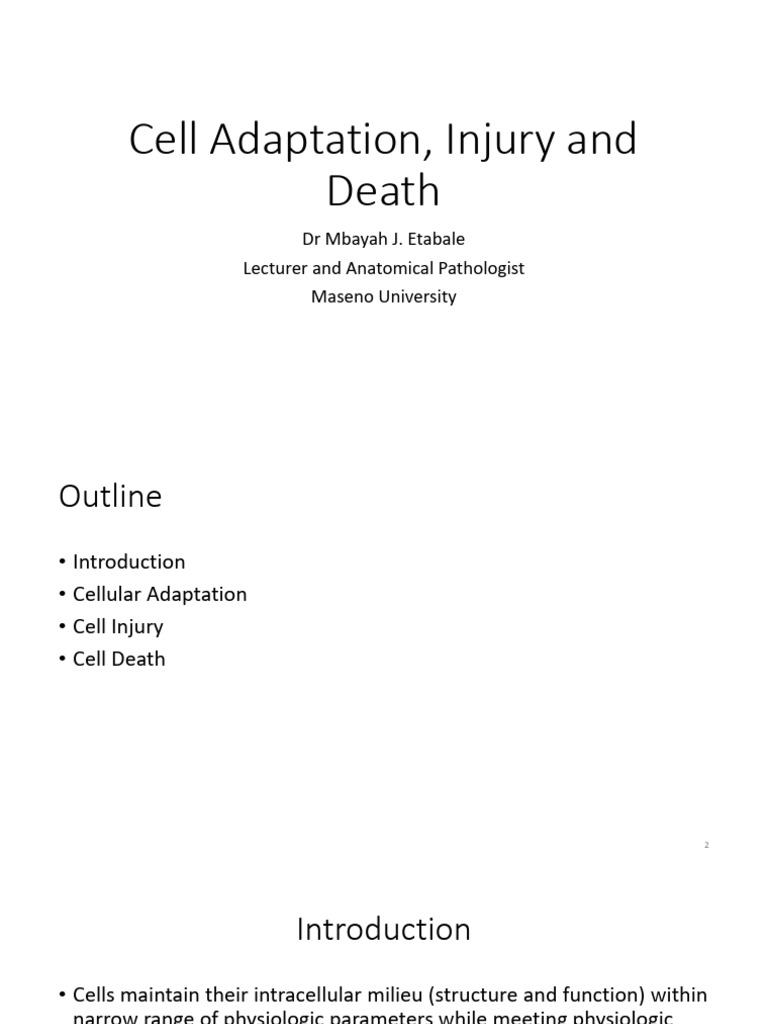 2.2. Cell Adaptation, Injury and Death | PDF | Necrosis | Apoptosis