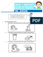 Ficha Del Agua - 1ro Primaria