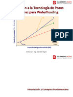 Pozos Inyectores Curso Corto