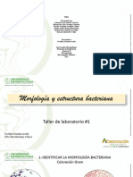 Morfología y Esructuras Bacterianas (MODULO MEDICINA)