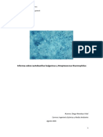 Informe N°1 Bacterias Lactobacillus Bulgaricus y Streptococcus Thermophilus - Diego - Mendoza