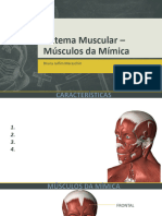 Musculos Da Mimica - 2023-Alunos