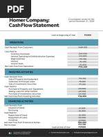 Cash Flow Report