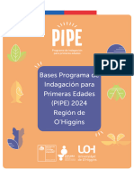 Bases PIPE 2024 Región de OHiggins