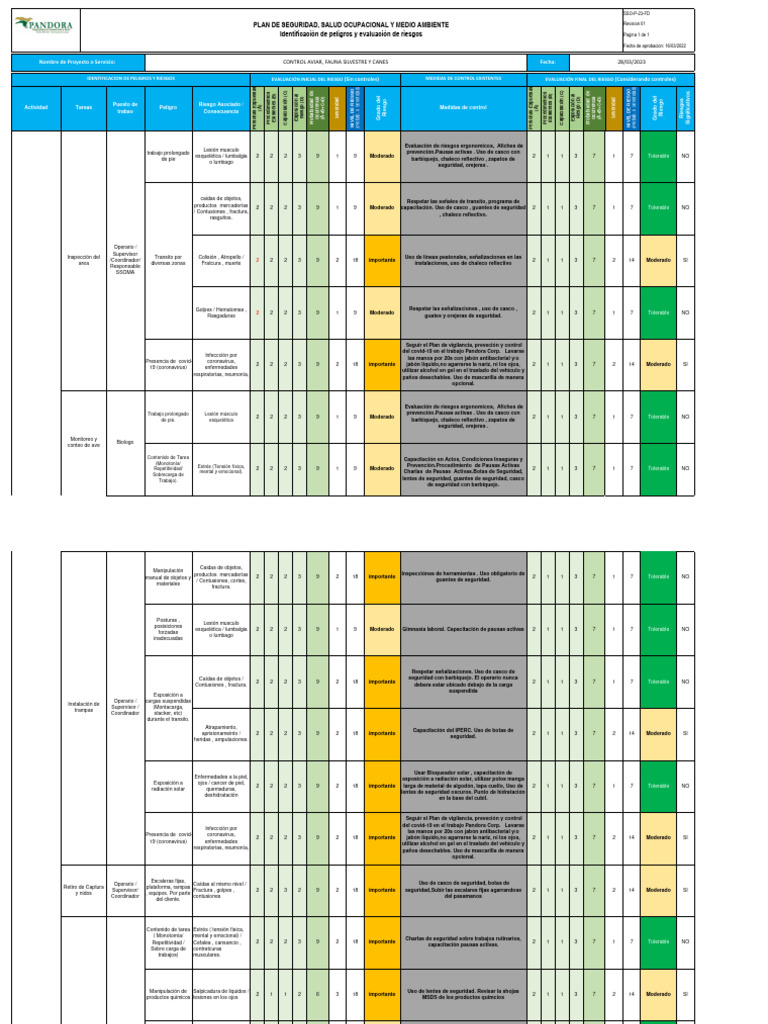 Matriz Identificación de Peligros, Evaluación de Riesgos y Controles ...
