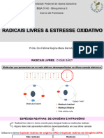 Radicais Livres Estresse Oxidativo