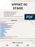 Rapport Du Stage