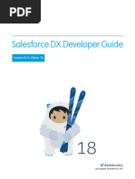 SFDX Dev