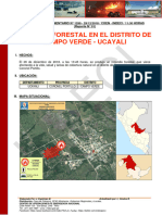 Incendio Forestal en El Distrito de Campo Verde - Ucayali