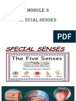 Module 3 Special Senses
