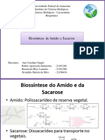 dokumen.tips_biossintese-de-amido-e-sacarose