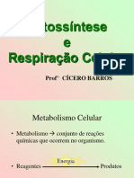 fotossintese e respiração