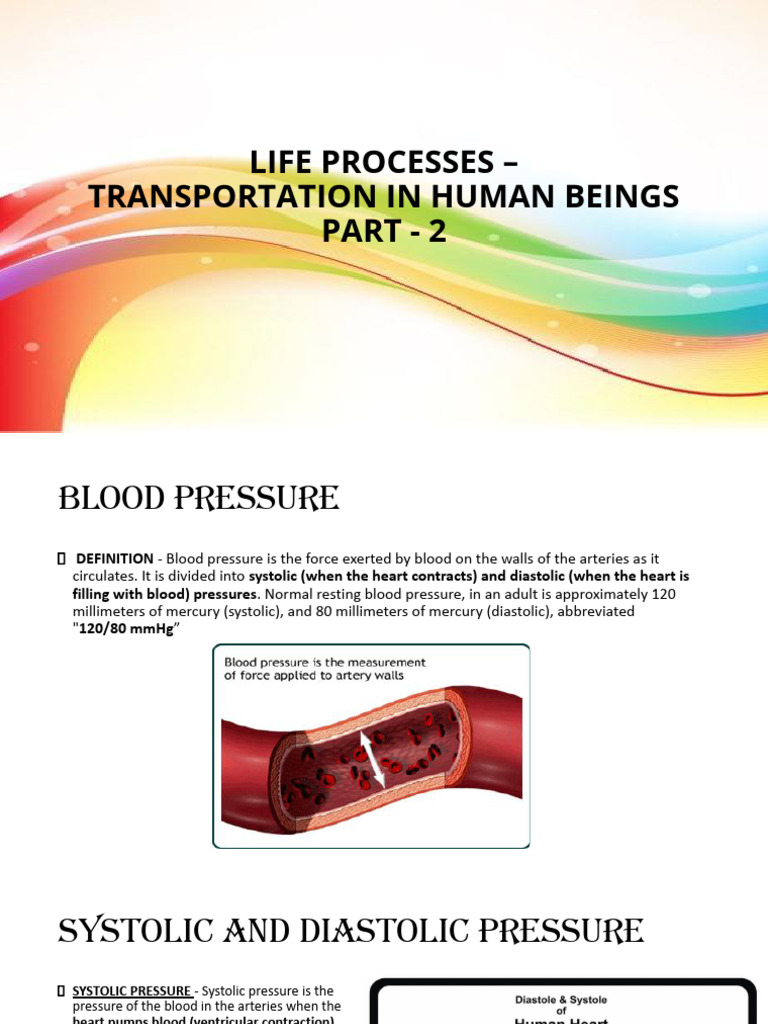 Life Processes - Transportation in Human Beings 2 | PDF | Blood ...