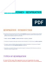 Life Processes - Respiration (1) (1) (1).Pptx