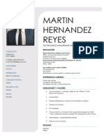CV Martin Hernandez Reyes