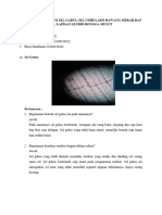 Laporan Praktikum Sel Kel5