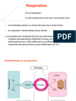 Respiration - SC