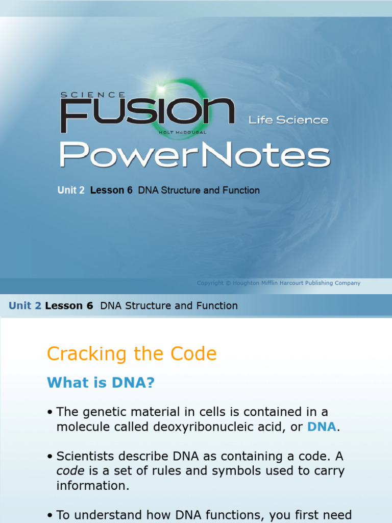 U2L6 DNA Structure and Function Notes | PDF | Rna | Dna