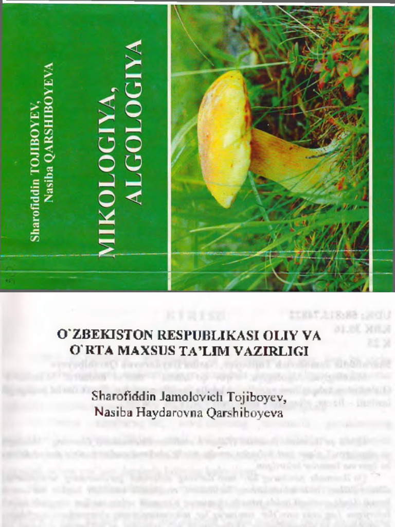 Qizlarning pul evaziga minut berish uchun aldanayotgan onlayn porno videolari