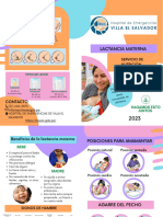 Díptico Lactancia Materna 2023 PDF