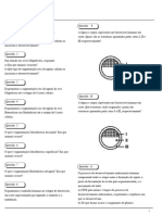 Embriologia 206 Questões