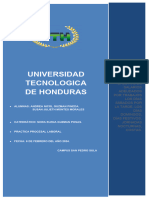 Escrito de Demanda Ordinaria Laboral para el Pago en Efectivo de Salarios Adeudados