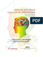 INTELIGENCIAS MULTIPLES Y ESTILOS DE APRENDIZAJE Sanchez