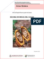 Ficha Técnica de Escoba Bruja Del Cacao