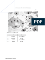 QP3 Cell Organsation