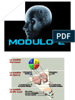 Modulo 2 Cerebro y Canales de Percepción Ricardo