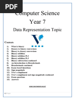 Year 7 Data Rep Booklet 1.2