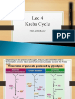 Lec 4 Kerbs - Cycle