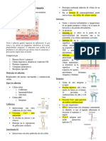 Mecanismos de Inmunidad Innata