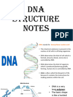 DNA Structure Notes