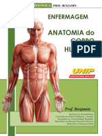 Anatomia Avançada Unip 1