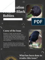 Conservation Project - Black Robins