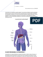 Lepancréas-Cancerdupancréas 1712346252504