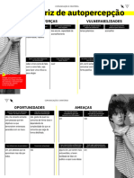 matriz de autopercepção